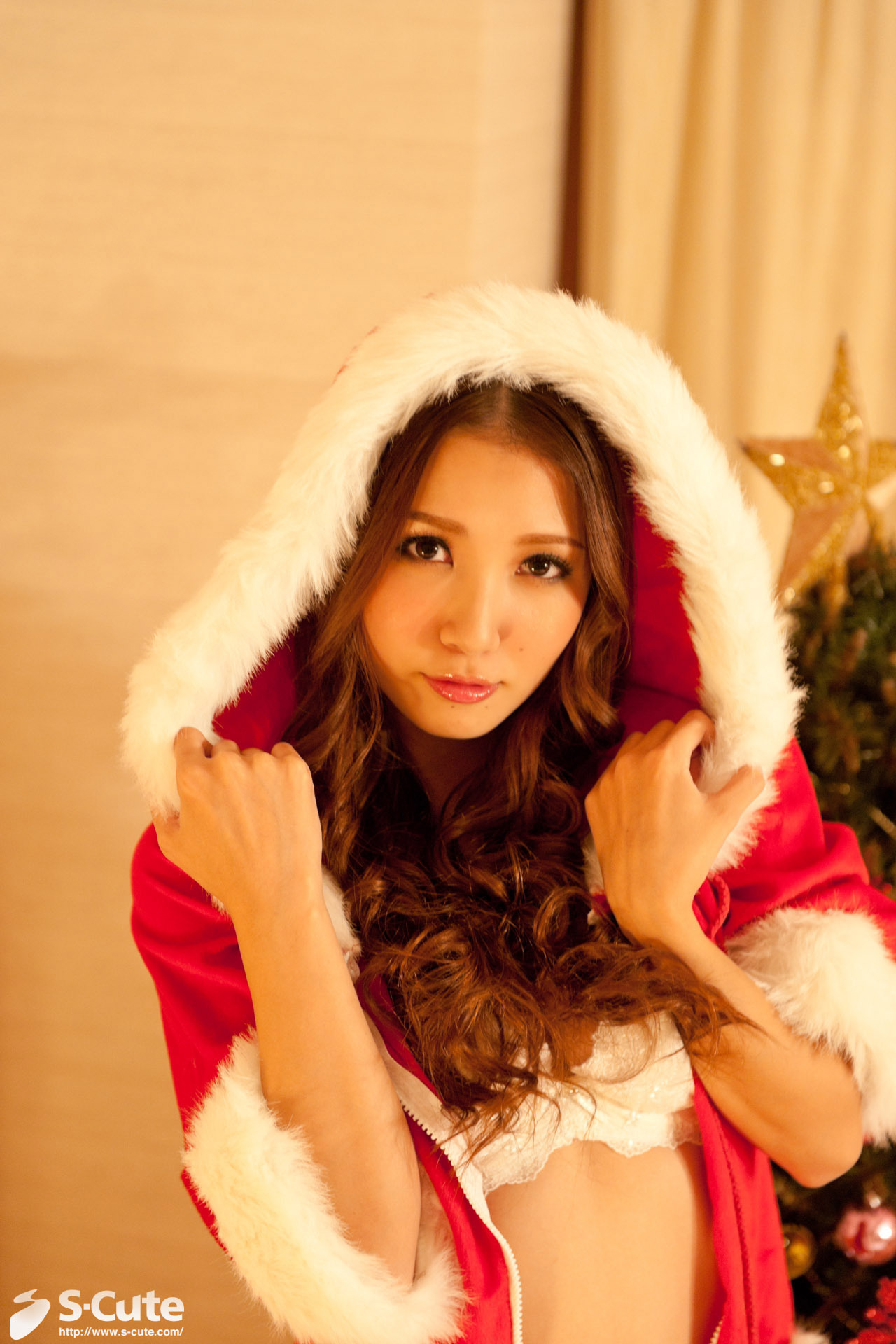 A Christmas Photo gift [S-Cute] No.247 no.249